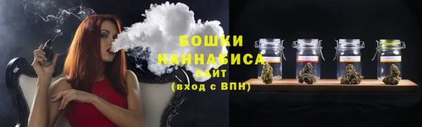 прущая мука Вяземский